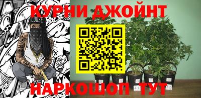 дживик Балахна