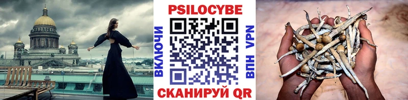 мориарти Telegram  KRAKEN онион  Бор  Псилоцибиновые грибы Psilocybine cubensis 