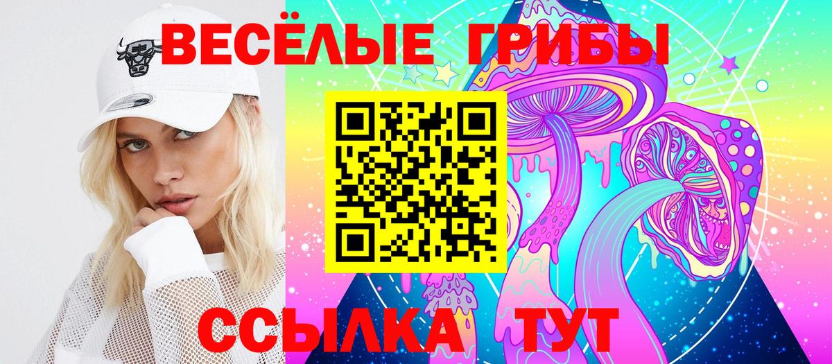 Псилоцибиновые грибы мухоморы Бор