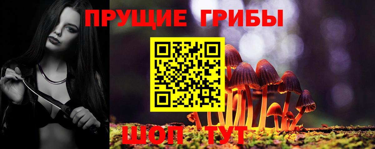 Бор  Псилоцибиновые грибы GOLDEN TEACHER  Вход с VPN 